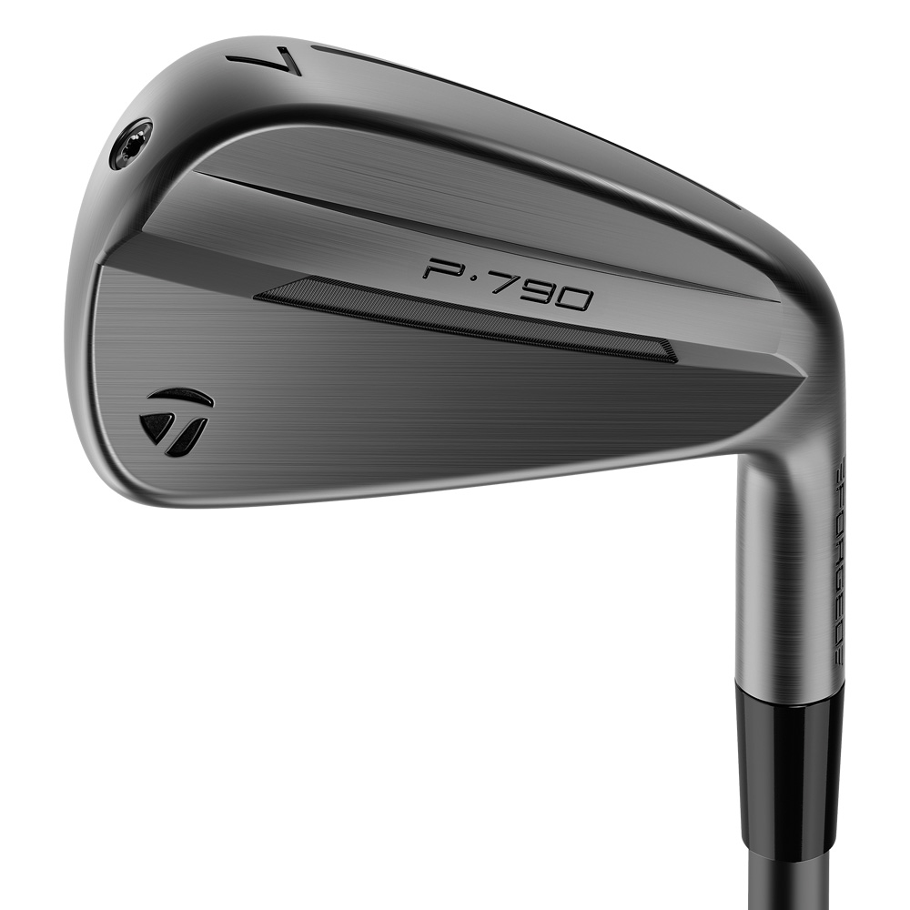TaylorMade P790 25 Iron Set